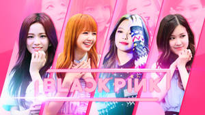 Blackpink Korean Girl Group Wallpaper