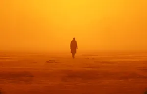 Blade Runner 2049 K Brown Field Wallpaper