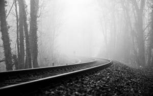 Blank And White Train Tracks In Foggy Forest Wallpaper