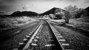 Blank And White Train Tracks Wallpaper