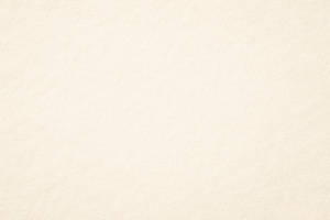 Blank Page Ivory Color Wallpaper