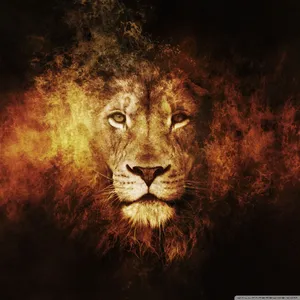 Blazing Lion Wallpaper