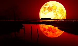 Blood Moon Rising Wallpaper
