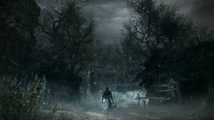 Bloodborne Dark Woods Wallpaper