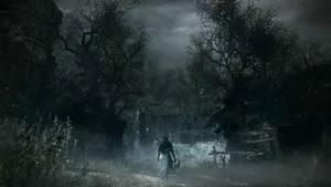 Bloodborne Dark Woods Wallpaper