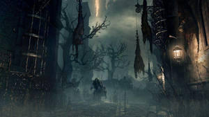 Bloodborne Old Yharnam Corpses Wallpaper