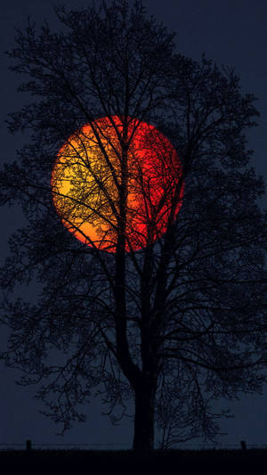 Bloody Moon Iphone X Nature Wallpaper