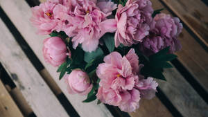 Blooming Peony Flowers On Wooden Surface Wallpaper