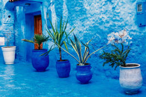 Blue 4k Themed House Wallpaper