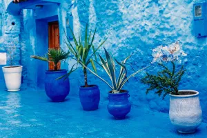 Blue 4k Themed House Wallpaper