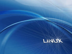 Blue Aesthetic Linux Desktop Text Logo Wallpaper