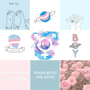 Blue And Pink Trans Aesthetic Collage Wallpaper