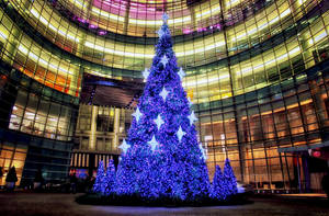 Blue Christmas Tree At City Building Wallpaper
