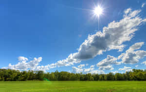 Blue Clear Skies Sunny Day Wallpaper