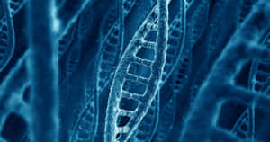 Blue D N A Double Helix Structure Wallpaper