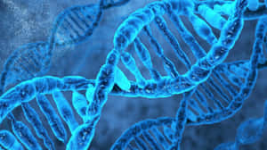 Blue D N A Double Helix Structure Wallpaper