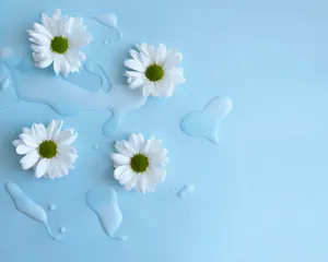 Blue Daisies For Ipad Wallpaper