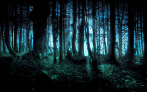 Blue Forest Background Wallpaper