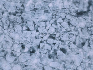 Blue Grey Ice Floes Wallpaper