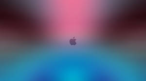 Blue Pink Gradient Macbook Air Wallpaper