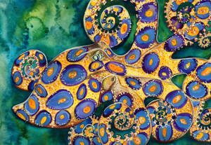 Blue Ringed Octopus Wallpaper