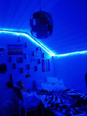 Blue Room Wallpaper