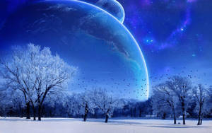 Blue Winter Nature Computer Wallpaper