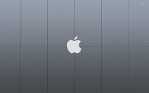 Bluish Light Gray Apple Desktop Wallpaper