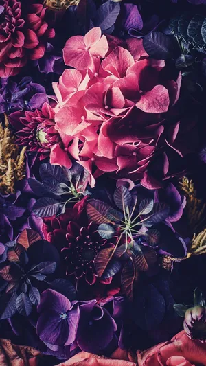 Blumen Flowers Display Wallpaper