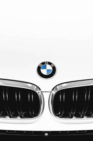 Bmw Luxury Car Hood Portrait Wallpaper