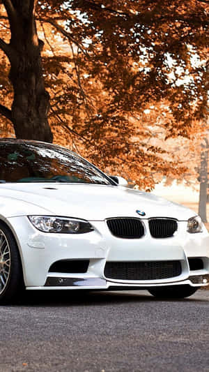 Bmw M3 Wallpapers - Bmw M3 Wallpapers Wallpaper