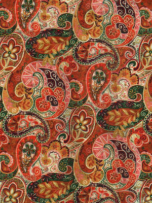 Boho Aesthetic Paisley Prints Wallpaper