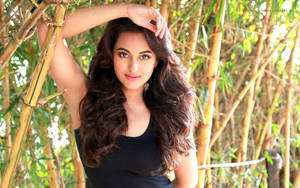Bollywood Actress Sonakshi Sinha Wallpaper