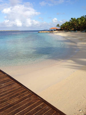 Bonaire Sand By Sea Wallpaper