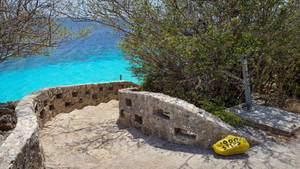 Bonaire Stairway Wallpaper