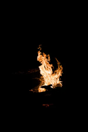 Bonfire Fire Wallpaper