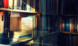 Bookshelf Colorful Books Wallpaper