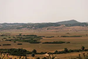 Bosnia And Herzegovina Grasslands Wallpaper
