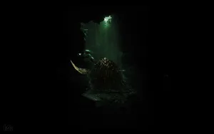 Boss Dark Souls Inside Dark Screen Cave Wallpaper