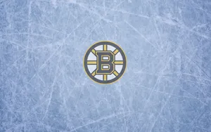 Boston Bruins Scratched Gray Wallpaper
