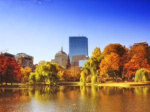 Boston Common In Ma Wallpaper