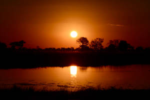 Botswana River Sunset Wallpaper