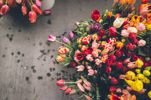 Bouquet Of Dripping Tulips Wallpaper