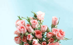 Bouquet Of Flowers In Pastel Pink Aesthetic Wallpaper