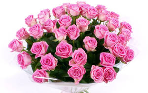 Bouquet Of Pastel Pink Roses Wallpaper