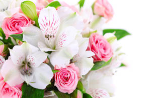 Bouquet Of Peruvian Lilies Wallpaper