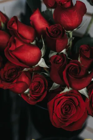 Bouquet Of Red Roses Wallpaper