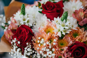 Bouquet Of Red Roses With Chrysanthemums Wallpaper