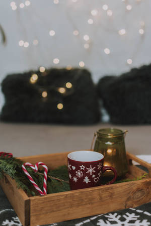 Box, Cup, Candy Canes, Branch, New Year, Christmas Wallpaper