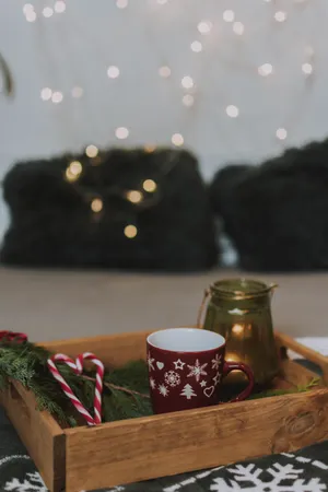 Box, Cup, Candy Canes, Branch, New Year, Christmas Wallpaper